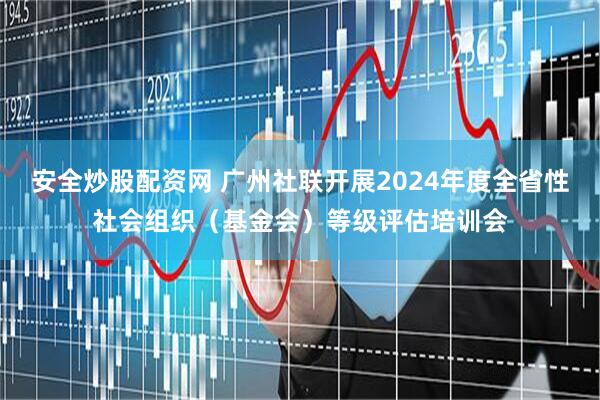 安全炒股配资网 广州社联开展2024年度全省性社会组织（基金会）等级评估培训会