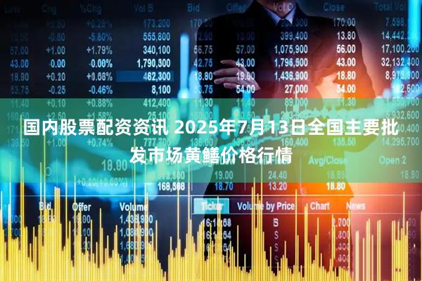 国内股票配资资讯 2025年7月13日全国主要批发市场黄鳝价格行情
